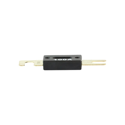 100A ANL battery fuse for 12v and 24v DC electrical systems in caravans