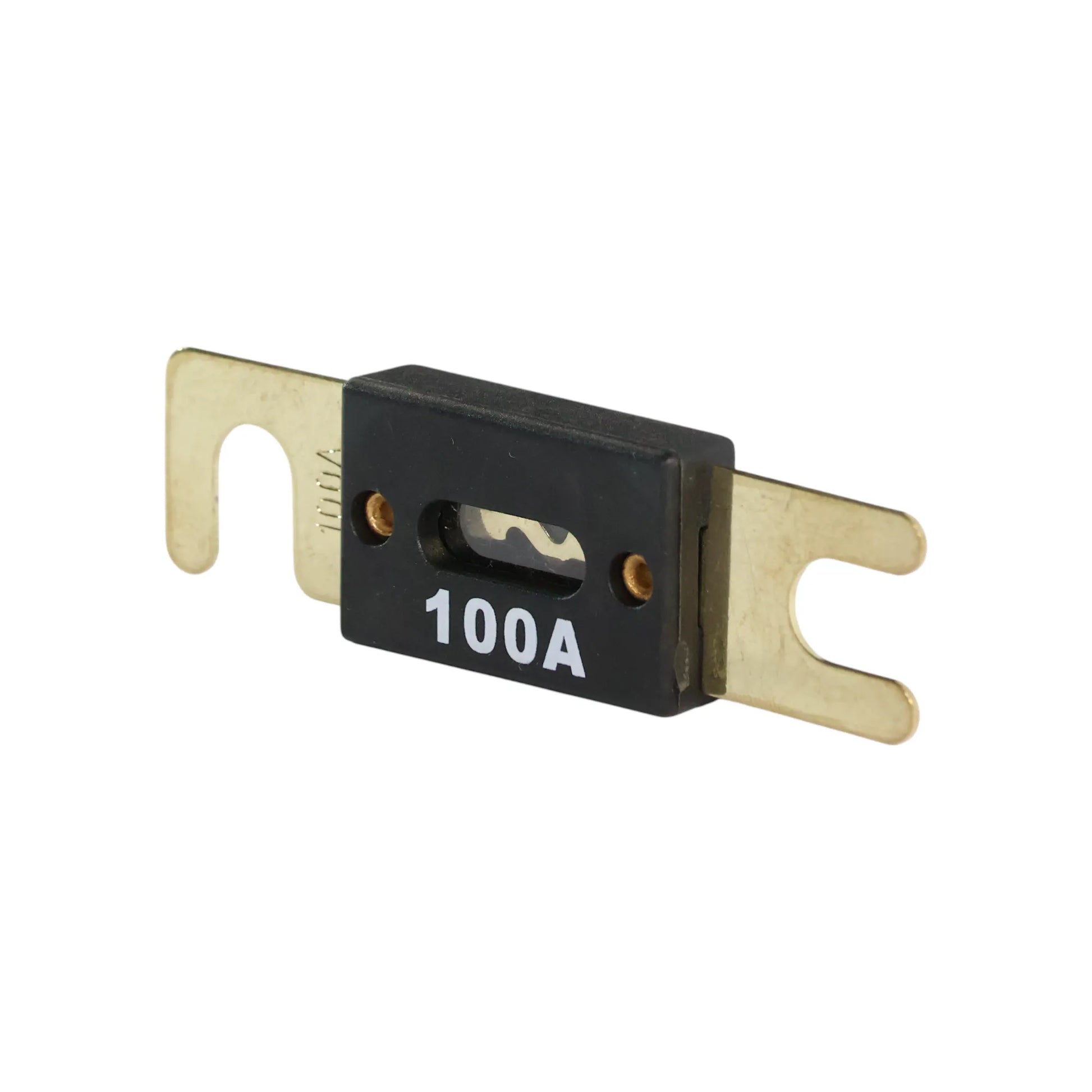 ANL fuse 100A for auxiliary battery overcurrent protection in campervan setups