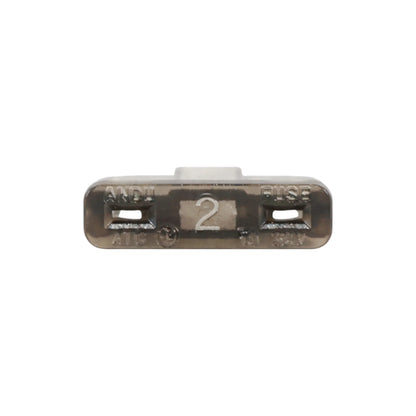 automotive 2 amp blade fuses for rv wiring and low load accessories