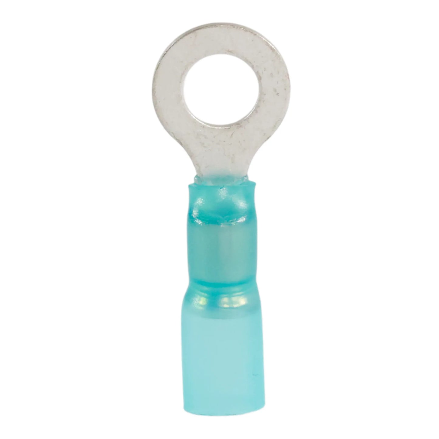 Blue heat shrink ring terminal M6 (100 pack) for caravan, rv, and campervan waterproof 12v wiring connections