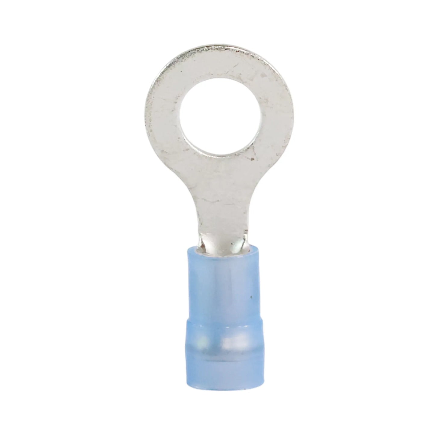 Blue nylon insulated ring terminal M8 (100 pack) for caravan, rv, and campervan 12v wiring connections