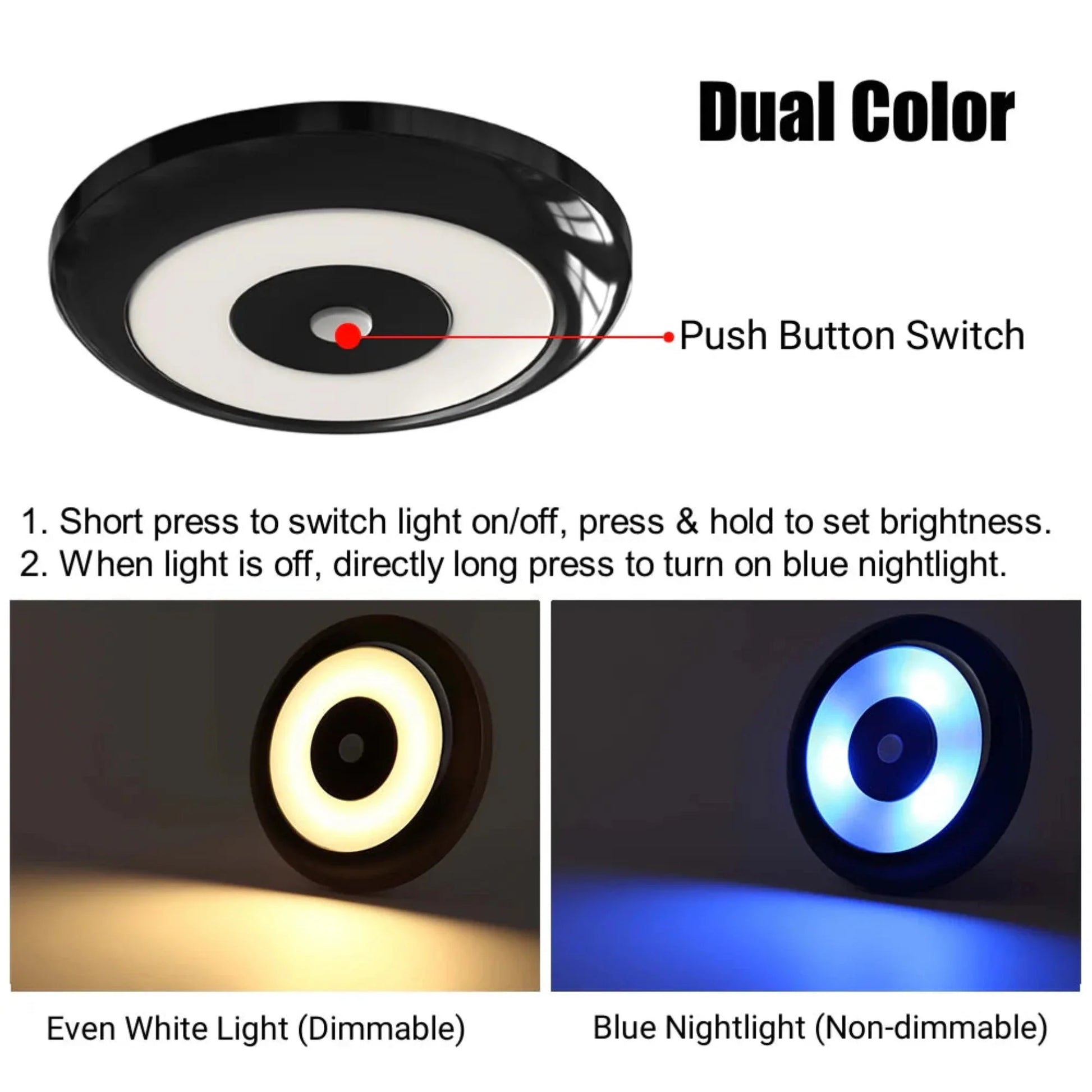 warm white dome light with integrated blue nightlight